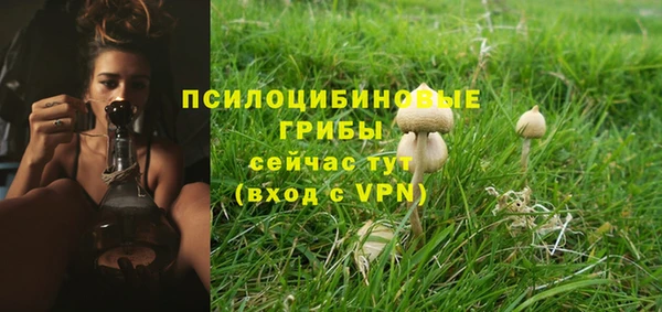 дурь Алзамай